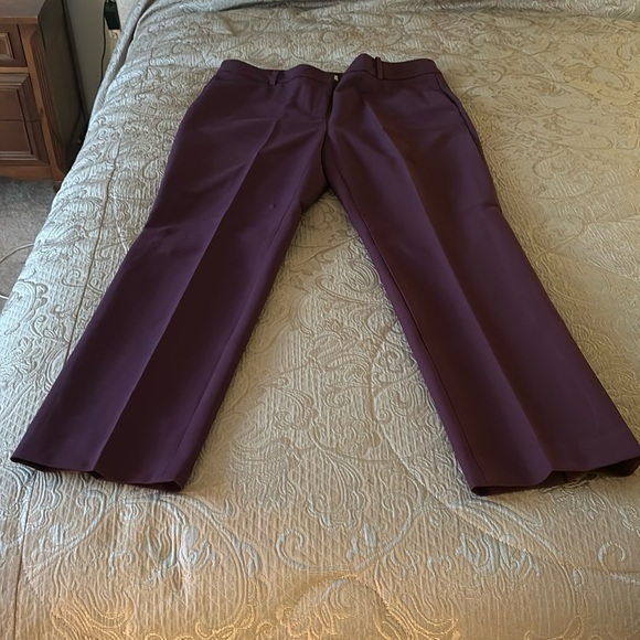 Women’s Chicos pants size 2.5 deep purple color EUC - Picture 1 of 8